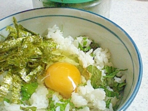 食欲のない夏場に・・しそ卵丼